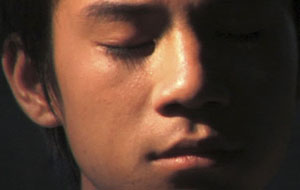 馬烏甲 (2007)