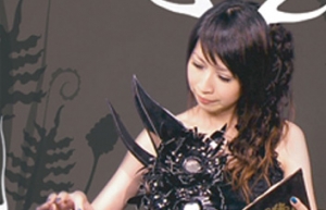 藝術家与他的魔術 (2009)