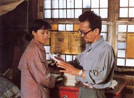 鳳凰琴 (1993)