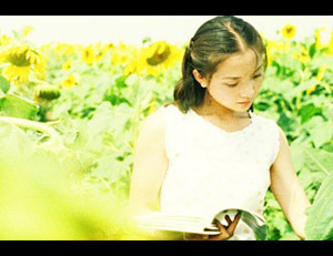 The Sunflowers (2005)