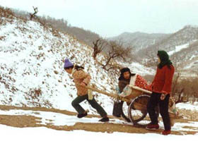 The Story of Qiu Ju (1992)