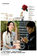 爱情占线 (2008) 电影海报