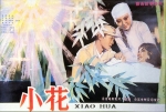 小花 (1979) 电影海报